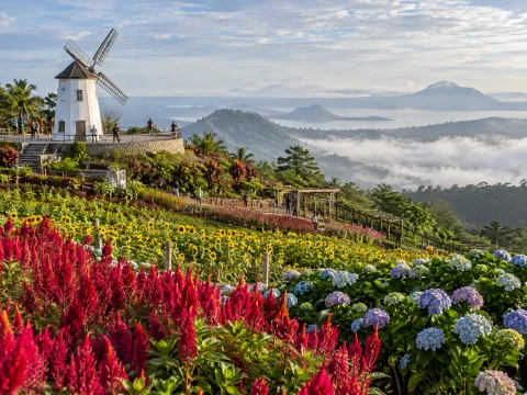Illustrative AI image: small white windmill on a viewing plaza above flower fields