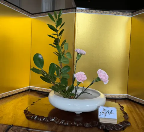Ikebana arrangement made in a lesson