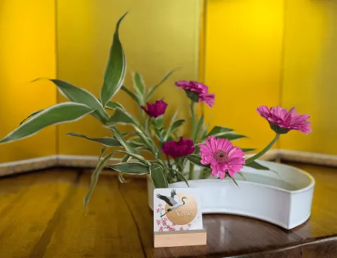 Ikebana arrangement made in a lesson