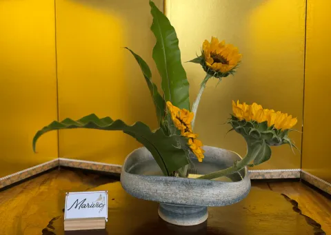 Ikebana arrangement made in a lesson