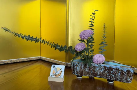 Ikebana arrangement made in a lesson