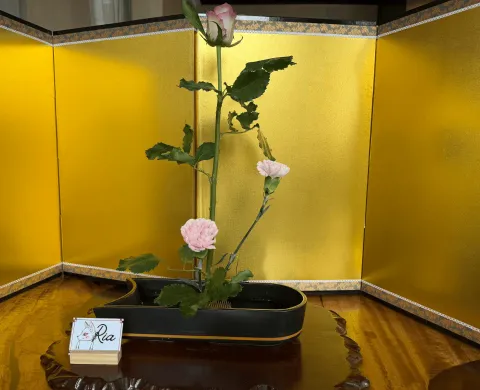 Ikebana arrangement made in a lesson